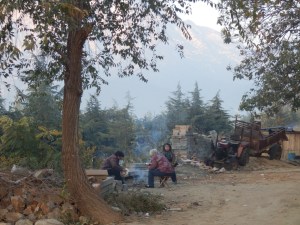 OLYMPUS DIGITAL CAMERA